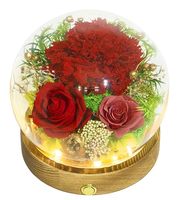 Fleurs Conservées Sous Cloche en Verre, Cadeau Éternel Fait Main pour la Fête des Mères, Arrangement Floral Parfait, Décoration de Table, Cube de 15 cm, Décoration Intérieure