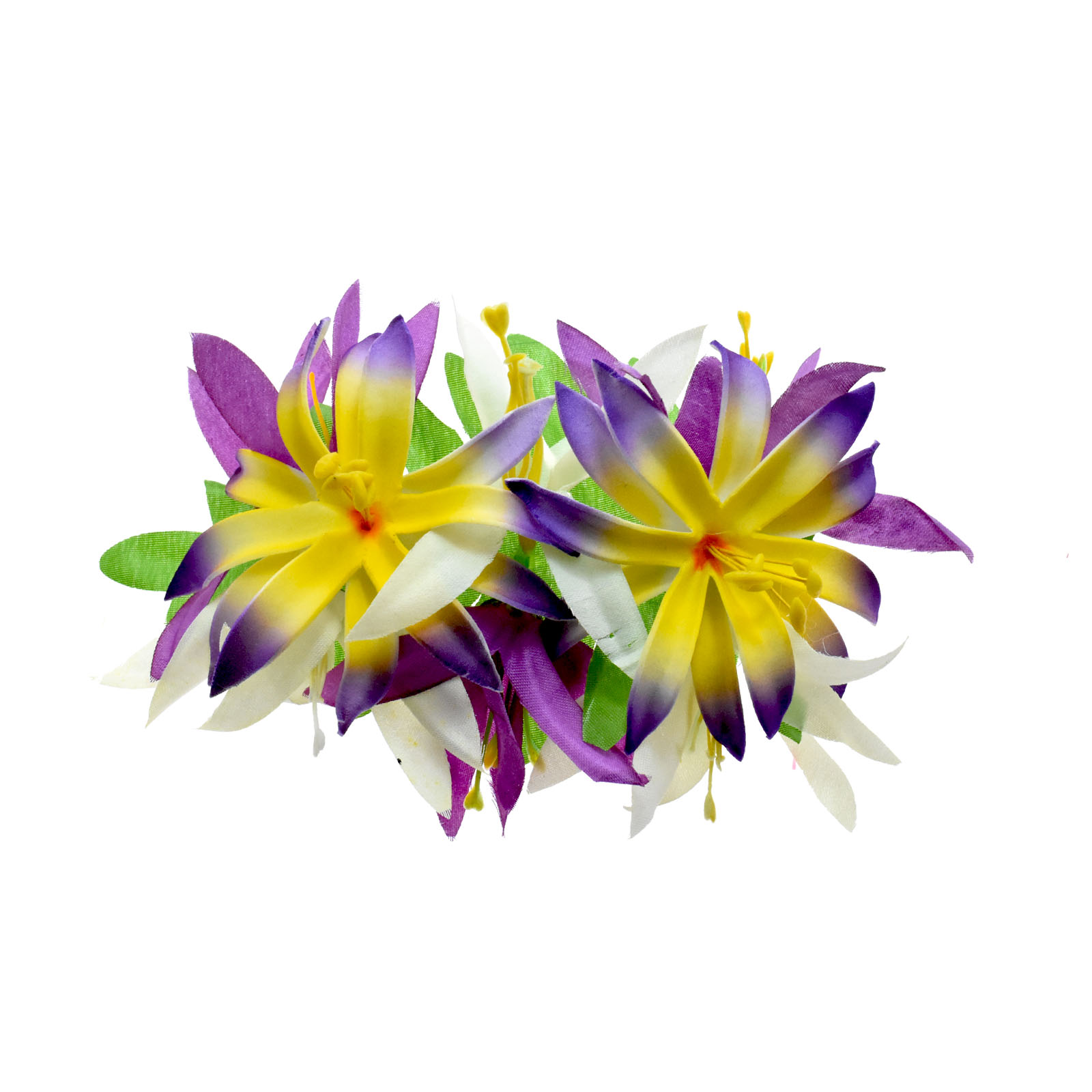Pourpre
