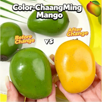 Pelota Antiestrés de Mango que Cambia de Color, Hecha a Mano, Crujiente, Ecológica, Juguete Sensorial para Aliviar el Estrés