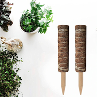Support de Plantes Grimpantes Écologique en Mousse et Coco, Piquets Dissimulés Détachables pour Jardin et Maison