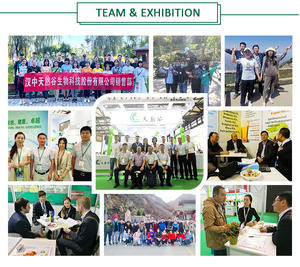 फैक्टरी मूल्य Carotenoids पाउडर बीटा-कैरोटीन गाजर रूट निकालें पाउडर - Product Image 4