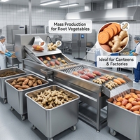Commerciële Automatische Elektrische Groente Schoonmaak Wasmachine Pinda Wassen Aardappel Trommel Wasmachine