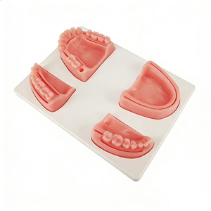 Modèle de suture buccale professionnel DARHMMY - Pratique des compétences de suture des gencives et des tissus parodontaux pour la <span class=keywords><strong>formation</strong></span> dentaire - Product Image 2