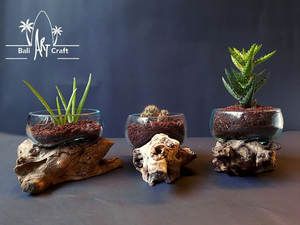 Benutzer definierte unregelmäßige Formen Glas vasen Terrarien Holz Tretlager DIY Geschenk pflanzung Grow <span class=keywords><strong>Terrarium</strong></span> Kit für Kinder - Product Image 5
