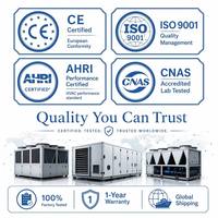 Unidad de Aire Acondicionado Compacta para Techo, para Fábrica, Almacén, Taller, Edificio Comercial, con Certificación UL y CE, Listo para Usar