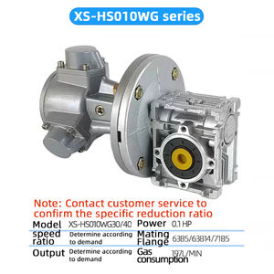 มอเตอร์ลม HS010 vione กันระเบิดความเร็วต่ำแรงบิดสูงควบคุมความเร็วบวกแบบย้อนกลับพร้อมตัวลด - Product Image 4