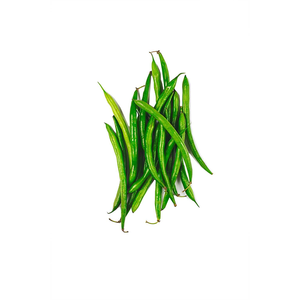 Haricots verts de qualité supérieure pour l'horticulture commerciale et les programmes de production de légumes à haute valeur ajoutée - Product Image 5