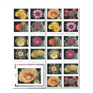 Album de <span class=keywords><strong>timbres</strong></span>-<span class=keywords><strong>poste</strong></span> et étiquettes pour envoi postal, avec motifs fleurs de cactus 2019, pour <span class=keywords><strong>la</strong></span> collection de <span class=keywords><strong>timbres</strong></span> permanents et de papier de bureau - Product Image 4