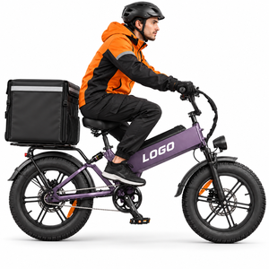 Bicicleta Eléctrica Utilitaria OEM D40, 750W, 48V40AH, Neumático 20x4.0, Carga de 200kg, Pantalla Impermeable de Fábrica - Product Image 1