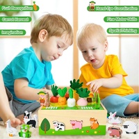 Jouets éducatifs pour l'apprentissage préscolaire, tri des couleurs et des formes, fruits, récolte de carottes, ferme, jeu de récolte de carottes