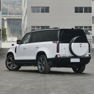 Oferta Especial: Polestones 01, Vehículo Eléctrico Nuevo, SUV 4x4 de Largo Alcance, Jishi 01 Rox, Fabricado en China - Product Image 5