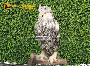 Modello di Gufo Animatronico Realistico a Grandezza Naturale per Esposizioni Zoo - My Dino - Product Image 3