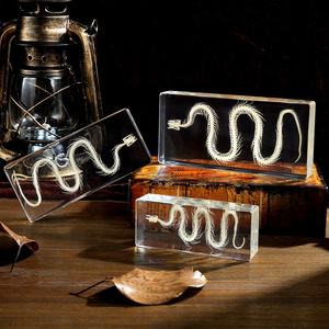 <span class=keywords><strong>Esqueleto</strong></span> <span class=keywords><strong>de</strong></span> Serpiente Real en Resina, <span class=keywords><strong>Esqueleto</strong></span> <span class=keywords><strong>de</strong></span> Animal Preservado, Espécimen <span class=keywords><strong>de</strong></span> Insecto, Juguetes Educativos para la Enseñanza, Recurso Didáctico, Regalo Original - Product Image 6