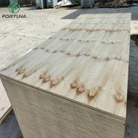 Lámina de Madera Contrachapada de Pino de 18 mm 3/4 para Techos, Estructuras y Paredes Exteriores