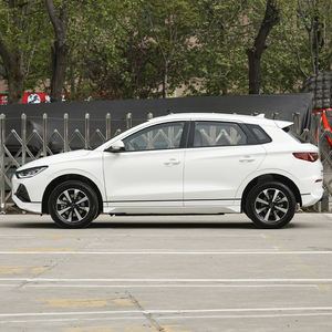 Yd E6-lectric 2022 Odel Byd-e6, 2021 V - Product Image 6