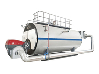 Ketel Uap Industri Otomatis 1-20 Ton Berbahan Bakar Minyak/Gas Desain Tabung Api Horizontal Tekanan Rendah Kelas A Terkendali PLC