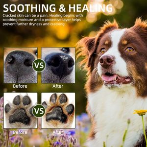 OEM/ODM Custom Private Brand Logo 100% Natural Organic Cocoa Butter Calcium-Based Pet Care Supplement 60g Tube Pet <strong>Snout</strong> <strong>Soother</strong> - Product Image 3