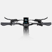 Bicicleta Eléctrica Plegable ENGWE L20 3.0 PRO de la UE, Salida de 250 W, 100 Nm, Suspensión Completa, Batería Oculta, Pantalla LED, Bicicleta Eléctrica para Desplazamientos Urbanos