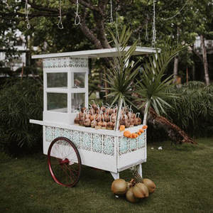 Customized Candy Tropical Fruit Display Mobile <strong>Food</strong> <strong>Cart</strong> 200 Units Capacity 2/4 Wheels <strong>Indoor</strong>/Outdoor Use Wedding Use E-Candy - Product Image 4