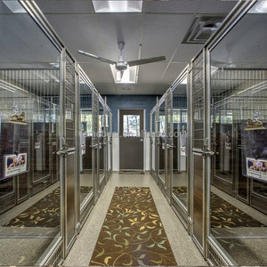 İhtisas 304 paslanmaz çelik köpek kulübesi Pet ağır köpek kafesi büyük Metal köpek evi - Product Image 3