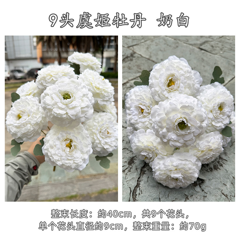 9 concubine pivoine blanche