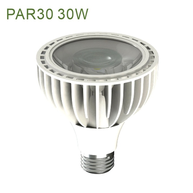 30W PAR30 LED Light Bulb with B22 Base 110V AC Power Supply ETL Rohs Approved Jewelry Light for Fan