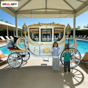 Carruaje de Caballos Eléctrico para Turismo, Estilo Clásico de Lujo, Material de Hierro, para Bodas, Modelo Royal Cinderella Garden - Product Image 1