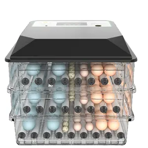 Caja de incubadora con control de temperatura y humedad, 192 huevos, doble potencia