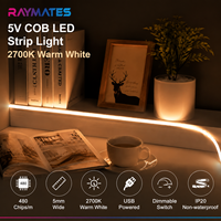 Bande lumineuse LED COB dimmable USB Raymates 5V 5mm Mini 480 LED Effet Météore 7W/m pour la maison, rouleau de 100m, Striscia Led Tira Led