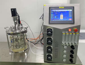 Bioréacteurs fermenteurs 1 à 10 litres pour cultures adhérentes et en suspension BLBIO-GJC - Product Image 6