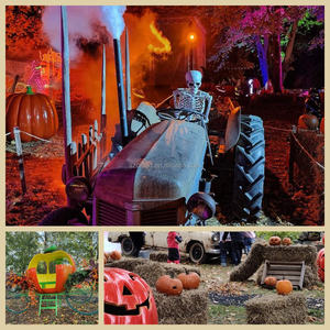 Fábrica decoración navideña puerta exterior grande escultura de fibra de vidrio estatua a la venta Reno Santa escultura de fibra de vidrio - Product Image 5