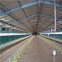 Élevage préfabriqué de maison de volaille de hangar de ferme de poulet de structure en acier de coût commercial