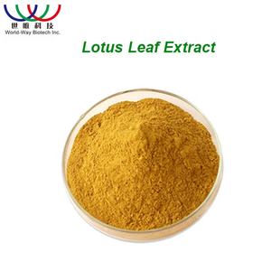 Bubuk ekstrak daun teratai alami organik suplemen nukferin untuk penurunan berat badan Vitamin aktif ramuan botol Halal - Product Image 2