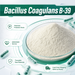 Bacillus Coagulans B-39 Patentado, Polvo Probiótico, Materia Prima, Cepa Termoestable <span class=keywords><strong>para</strong></span> Marcas de Suplementos y Fabricantes de Alimentos - Product Image 1