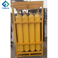 Support pour bouteilles de gaz DNV 2.7-1 Standard 12 ou 16, unité 4x4, 200 bar, 50 l, 232 mm, pour bouteilles d'azote offshore