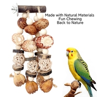 Jouet à mâcher écologique et naturel pour perroquets avec boule de lianes fruitées et ananas en épis de maïs pour oiseaux d'intérieur de petite et moyenne taille
