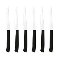 Ensemble de 6 couteaux à steak durables, lame en acier inoxydable, bord dentelé, manche en plastique, emballage en boîte colorée, outils de cuisine pour restaurant