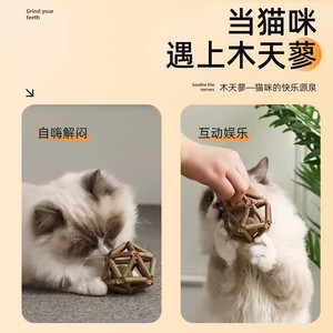 ของเล่นแมวแบบเคี้ยวได้ วู้ดดี้ สมาร์ทวีด ลูกบอลสำหรับแมวเล่นในบ้าน ของเล่นสัตว์เลี้ยงที่ทนทานสำหรับแมว - Product Image 5