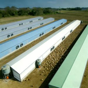 Grande Pollaio Moderno Prefabbricato <span class=keywords><strong>in</strong></span> <span class=keywords><strong>Acciaio</strong></span> Leggero Zincato, Durata 50+ Anni, Montaggio Rapido, Certificato ISO9001 - Product Image 2