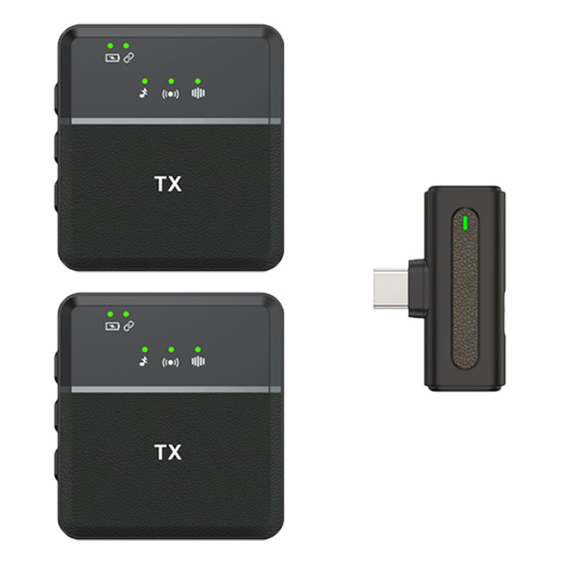 SX8 2 Microphone-Type C