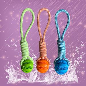 Materiale TPR accessori interattivi per animali domestici Non tossici per cani palla corda da masticare giocattoli da masticare resistenti al morso giocattoli per cani da fornitore di animali domestici - Product Image 1