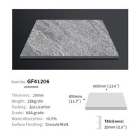 Carrelage en porcelaine d'extérieur gris foncé 20 mm, aspect granit