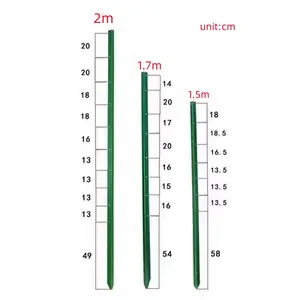 Cột Thép Kim Loại Sơn Màu Xanh Lá Cây 5ft 6ft 7ft T Y Màu Xanh Lá Cây Úc Và New Zealand Bán Chạy