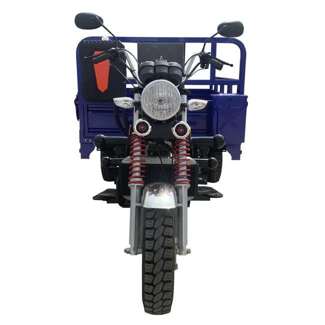 Newest gas Tricycle Large Size Three Wheel Motorcycle For Cargo Air Cooling Trike Made In China China