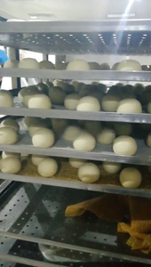 Porcionador industrial de masa de pan: sistema de corte y modelado totalmente automatizado para panaderías - Product Image 6