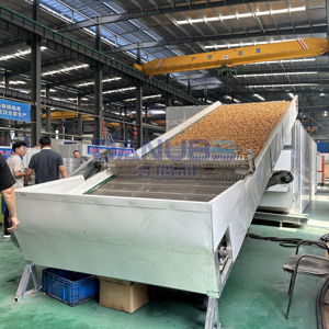 Nouveau type d'équipement de séchage de fruits maille ceinture sèche-linge date nettoyage et séchage ligne de traitement Machine de séchage de date - Product Image 3