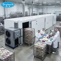 Séchoir à légumes et oignons électrique à air chaud DRYTECH, capacité 1200 kg, usage agricole, certifié COC