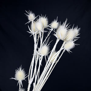 Eryngbras — 15 Branches de couleurs plastique, vente en gros, 15 têtes différentes, couleur blanche et noire - Product Image 3