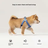 Laisse pour chien réglable et rétractable en nylon pour chiens de grande, moyenne et petite taille, corde de marche anti-explosion