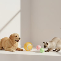 Jouet interactif en silicone pour chiots, aide au sommeil, pour activités au parc, jouet de ramassage, jouets en corde pour animaux, vente en gros de jouets pour animaux